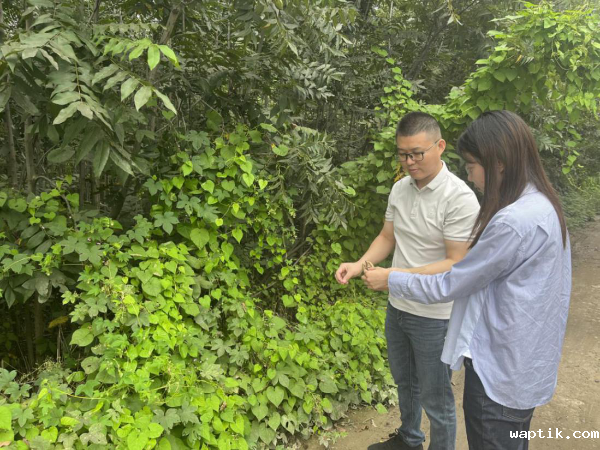 扬州审计:关注富民产业,护航乡村振兴