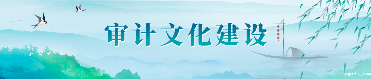 审计文化建设